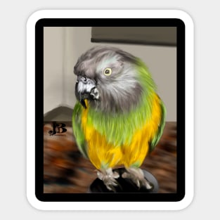 Mischievous Parakeet Sticker